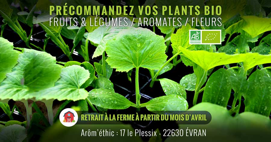 commande en ligne plants potager bio dinan evran