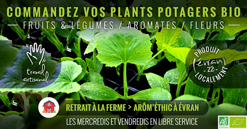 commande plants potagers evran dinan malo en ligne producteur bio