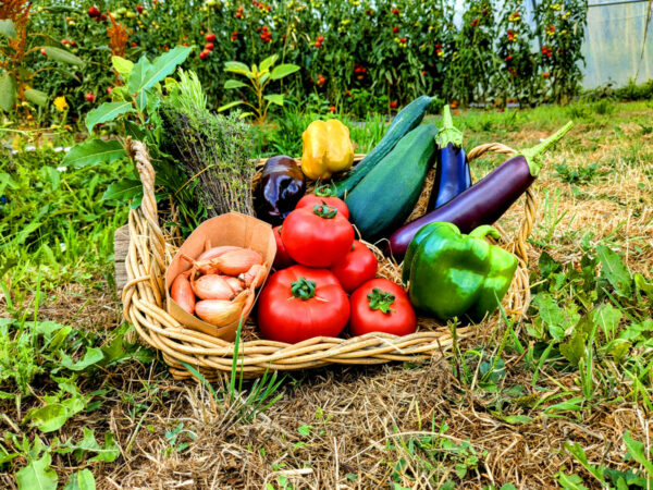 panier local evran dinan commande en ligne