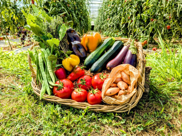 panier local evran dinan commande en ligne