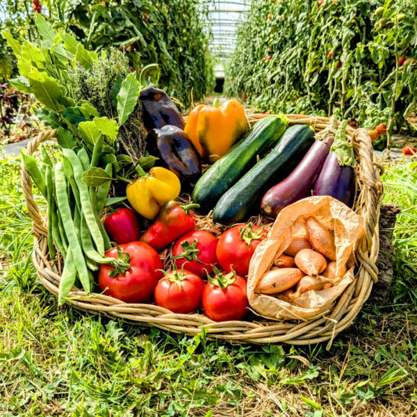 panier local evran dinan commande en ligne