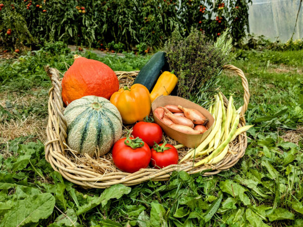 panier local evran dinan commande en ligne