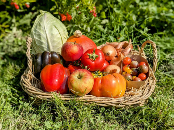 panier local evran dinan commande en ligne